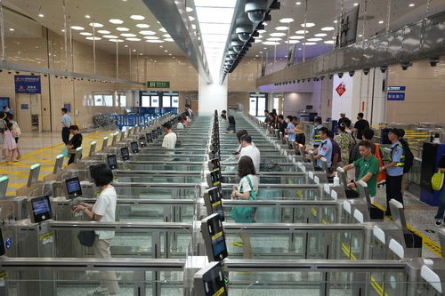 中國(guó)科技網(wǎng) 引領(lǐng)網(wǎng)絡(luò)技術(shù)服務(wù)創(chuàng)新，賦能數(shù)字中國(guó)建設(shè)